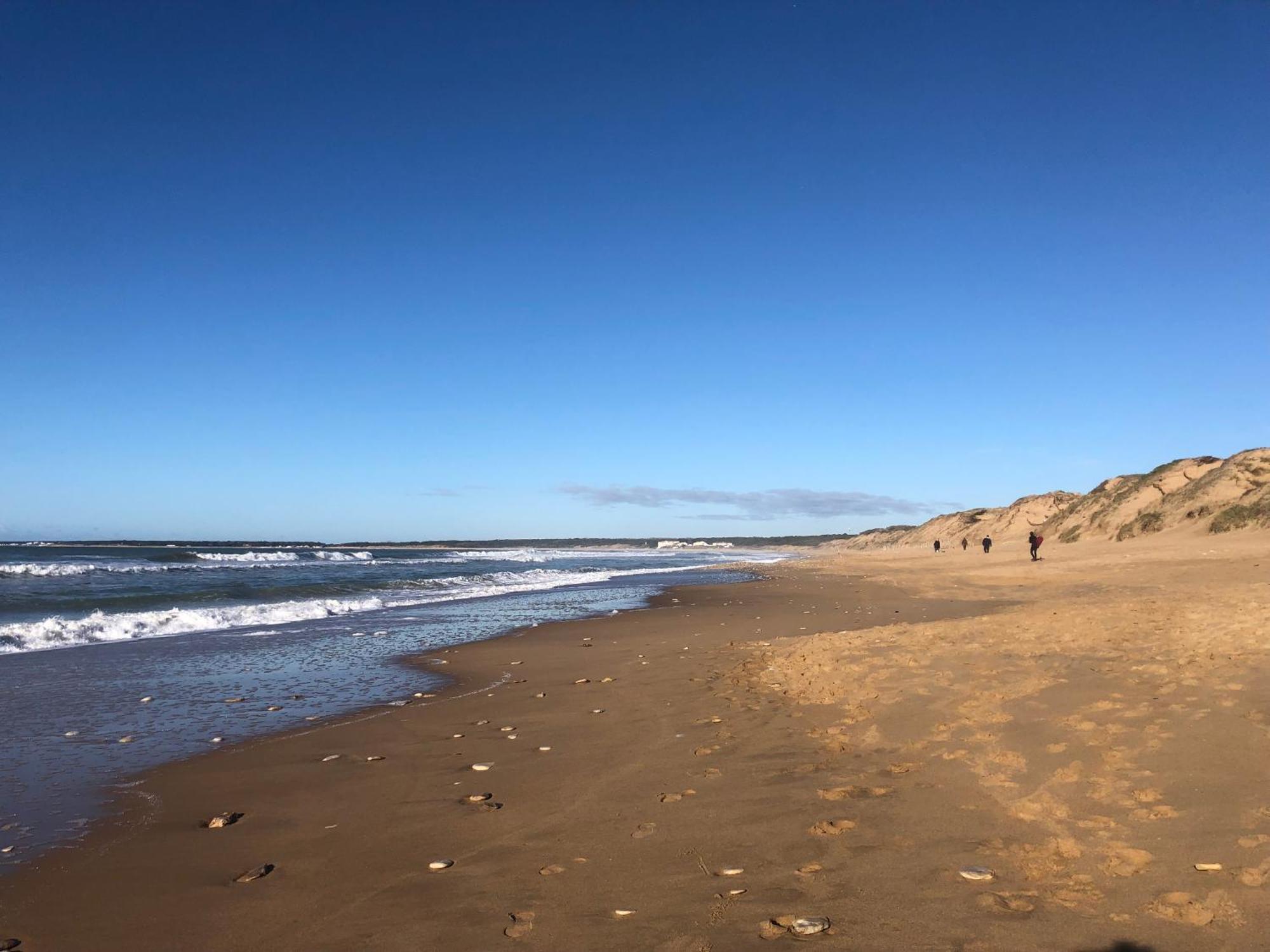 La Vieille Cure, Spa, Wifi A 20 Min Des Plages La Jonchere Kültér fotó