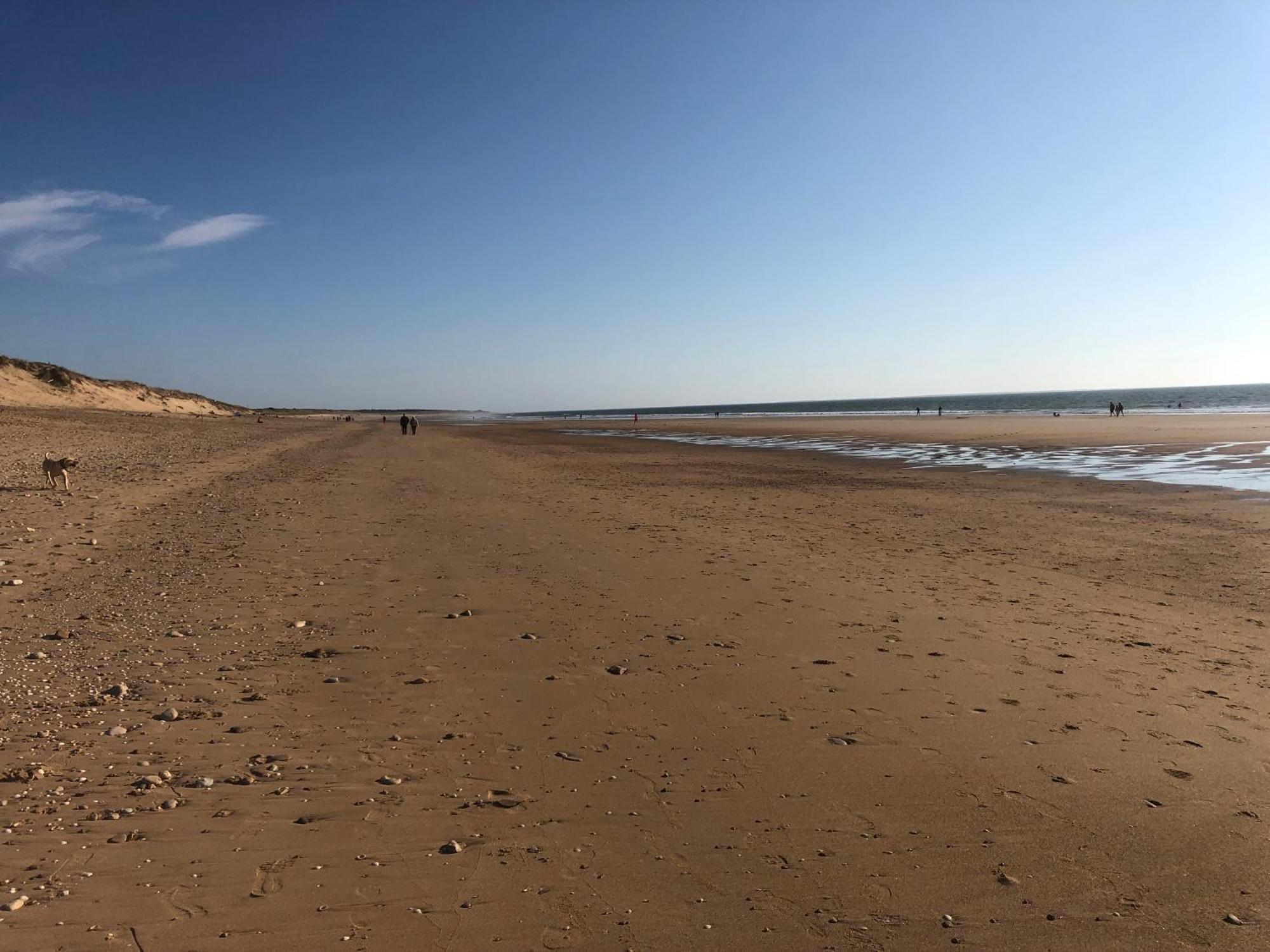 La Vieille Cure, Spa, Wifi A 20 Min Des Plages La Jonchere Kültér fotó